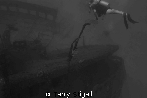 A little something in black and white. by Terry Stigall 
